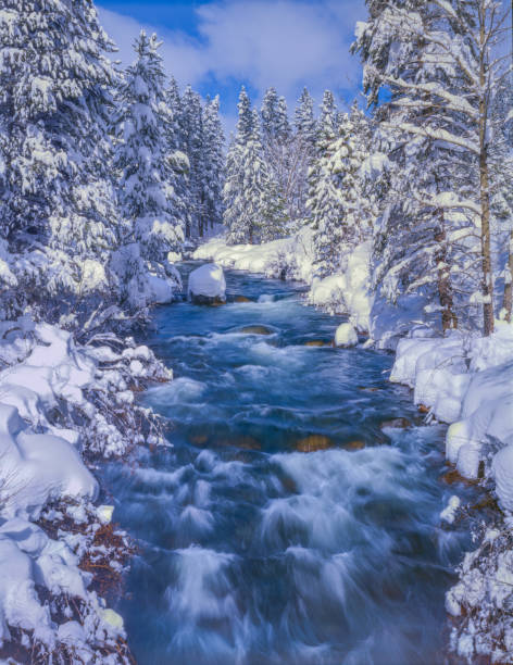 Winter snow Truckee River North Lake Tahoe, CA. Winter snow Emerald Bay State Park, South Lake Tahoe, CA. truckee river photos stock pictures, royalty-free photos & images