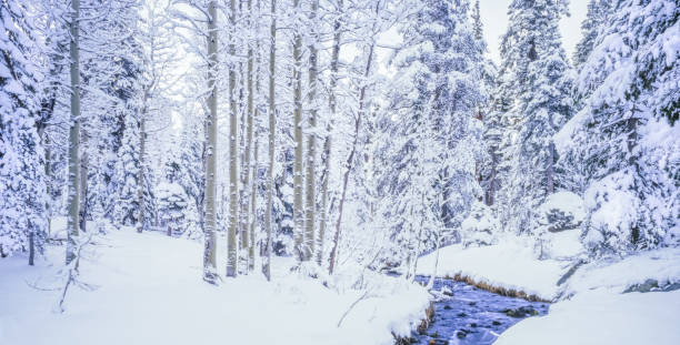 Winter snow Emerald Bay State Park, South Lake Tahoe, CA.