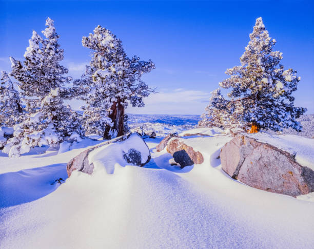 Winter snow Emerald Bay State Park, South Lake Tahoe, CA.