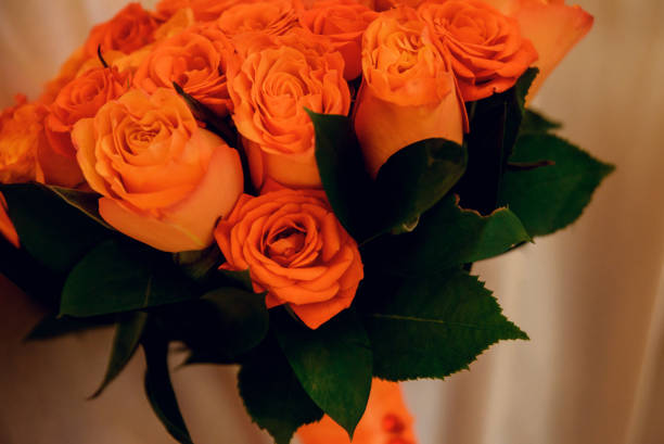 roses orange. il y a beaucoup de roses orange. bouquets de roses. - dozen roses rose flower arrangement red photos et images de collection