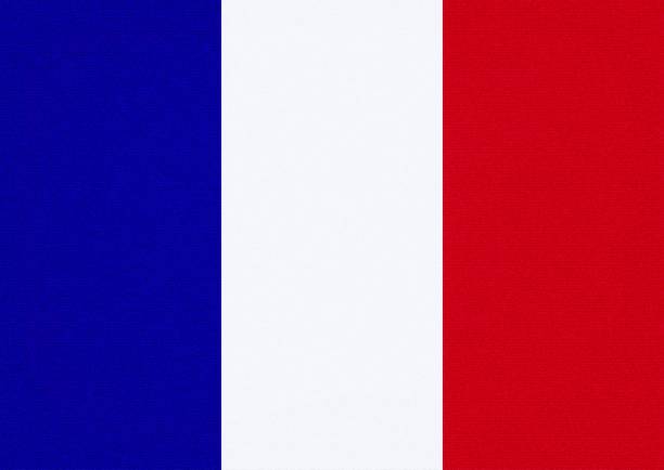 istock Flag of France on a textured background. Vector illustration. 913419916