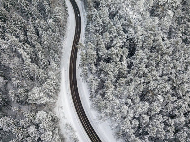 istock Road through the snowy forest 913426230