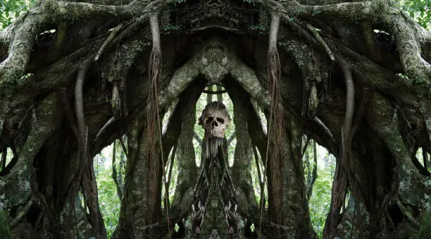 spooky Vodoo scull on altar in jungle surrounding un der the roots of a jungle tree