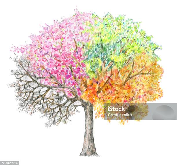 4 つの季節 木 Handdrawing 白で隔離 - 四季のベクターアート素材や画像を多数ご用意 - 四季, 樹木, 季節