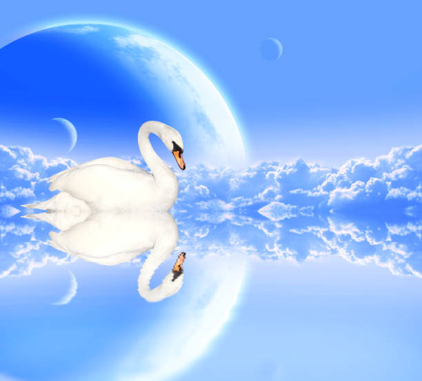 istock Mute swan on blue background with planets 913442846