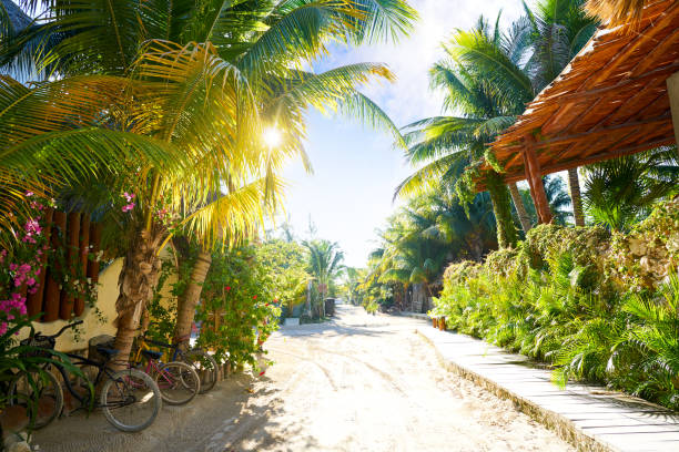 istock Holbox Island street Quintana Roo Mexico 913445132