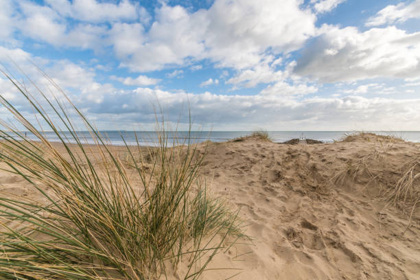 istock Bournemouth coastline sand dune and sea 913445524