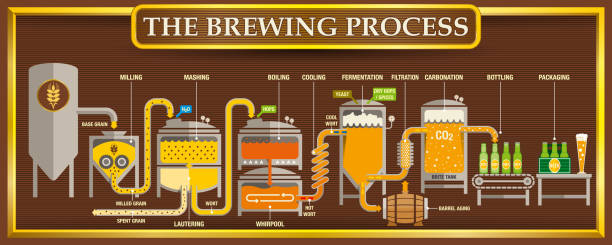 The Brewing Process info-graphic with beer design elements on brown background with golden frame The Brewing Process info-graphic with beer design elements on brown background with golden frame. Vector image brewery stock illustrations