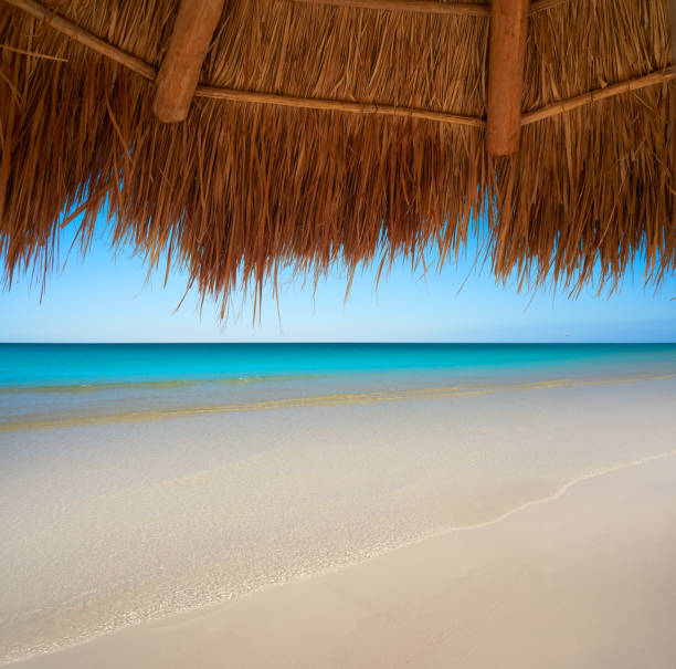 istock Caribbean beach sunroof in riviera Maya 913448590