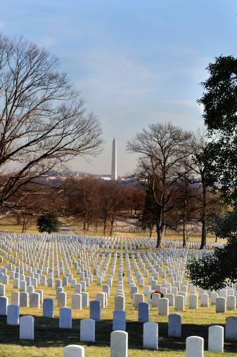 Washington Monument view from Arlington National Cemetery. The trees are already ripe with spring blossoms. This is \