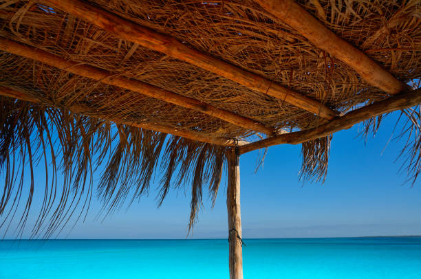 istock Holbox Island in Quintana Roo Mexico 913449402