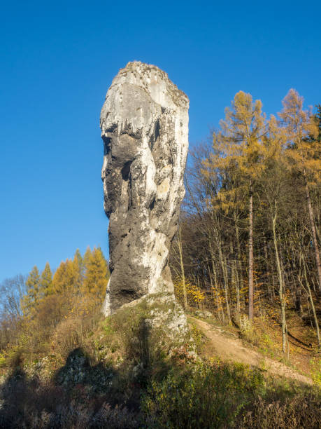 istock Limestone monadnock Maczuga Herkuklesa near Cracow, Poland 913449544