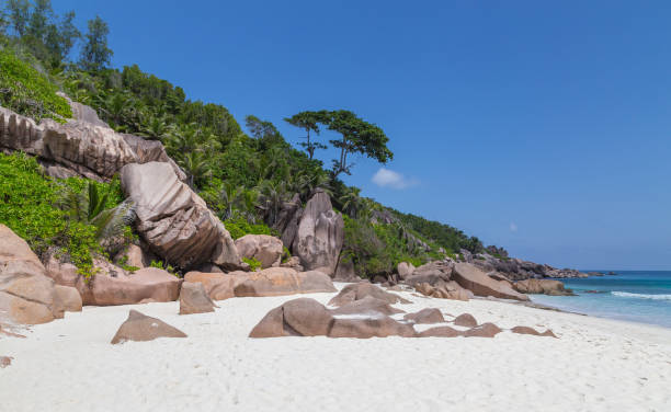 istock Petite Anse beach on La Digue Seychelles 913450090