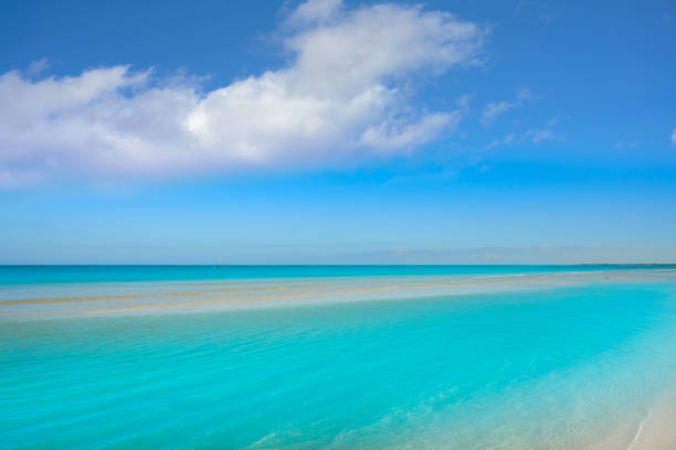 Holbox Island turquoise beach in Quintana Roo of Mexico