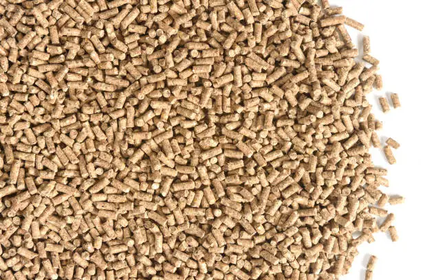 Photo of close up of granulated animal food texture