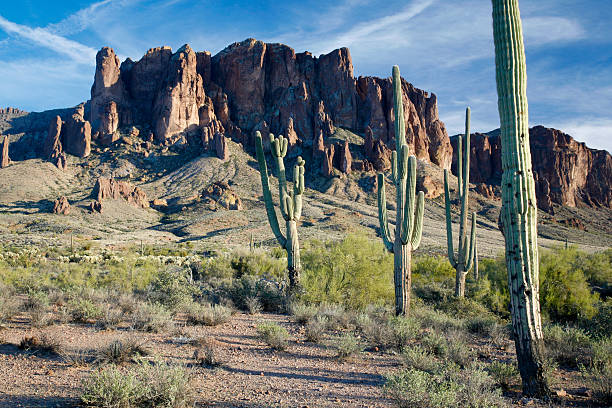 istock Lost Dutchman's State Park, Arizona 91345936