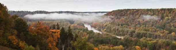 Photo of River Gauja in the early autumn morning