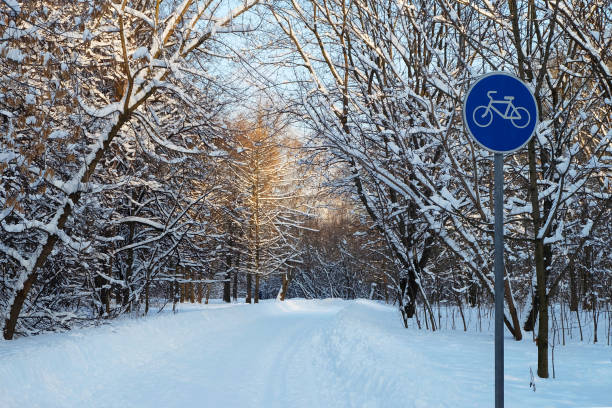 istock Trees in the park in winter 913466512