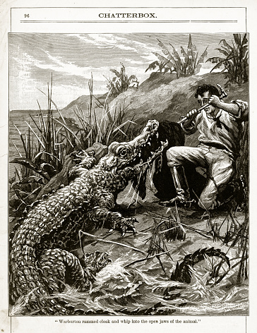 Very Rare, Beautifully Illustrated Victorian Antique Engraving of an Alligator Attacking a Man Victorian Engraving from Chatterbox Illustrated Magazine. Published in 1894. Copyright has expired on this artwork. Digitally restored.