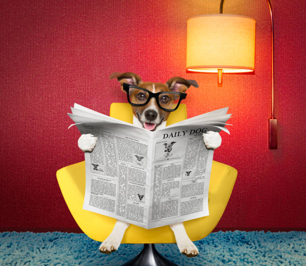 Studio shot of a cute little girl reading the newspaper while pretending to be an adult