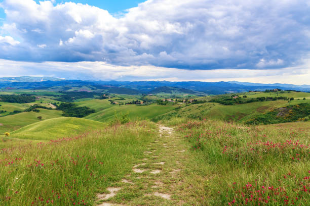 Magnificent Tuscan landscape, fields and meadows near Volterra in Italy