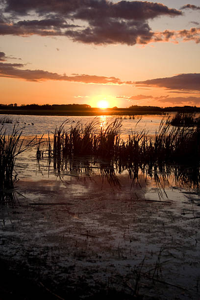 istock Sunset on a Prairie Swamp 91347464