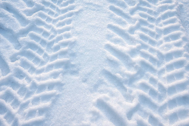 Tire tracks in fresh snow
