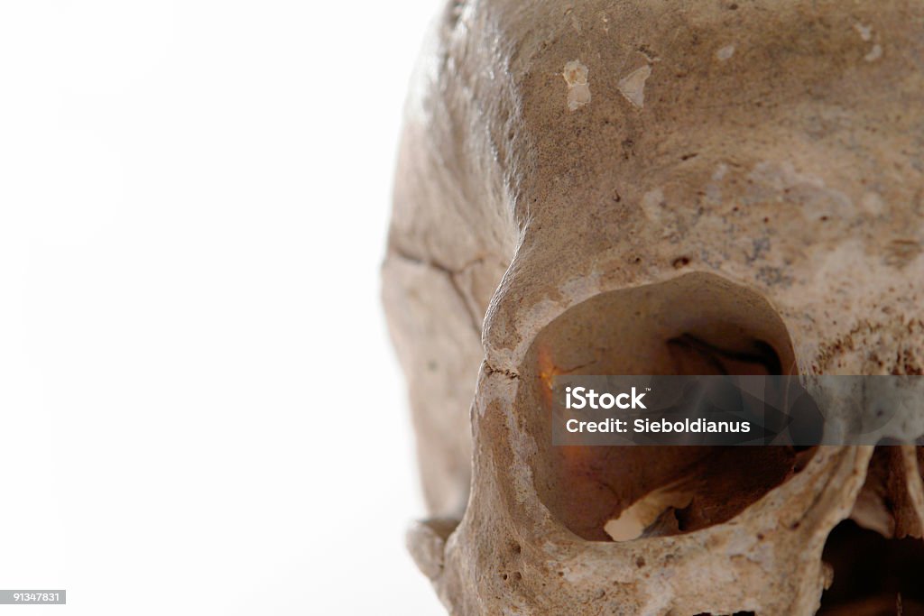Image of an eye from human skull.  Anatomy Stock Photo