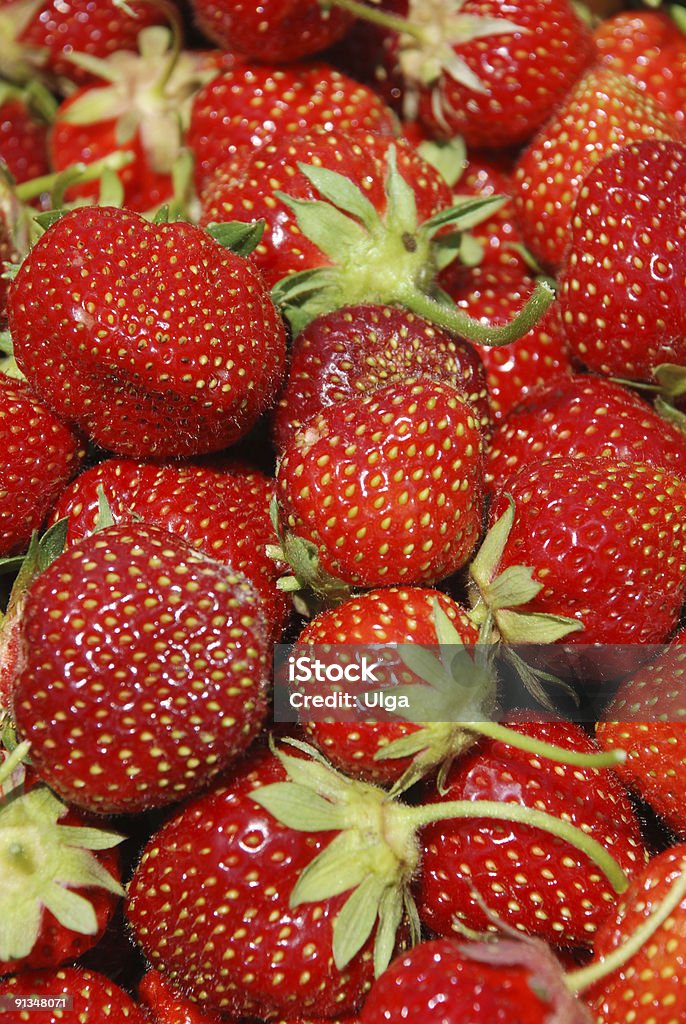 Fresas - Foto de stock de Agricultura libre de derechos