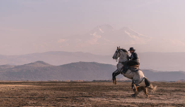 istock Anatolian cowboy riding horse by sunset 913483162