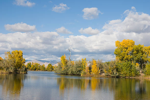 istock Golden aspens and lake 91348412