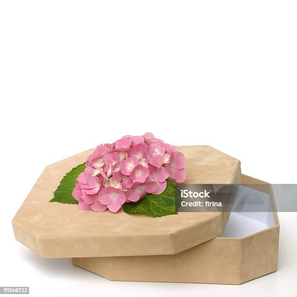 Decorativo Caja De Foto de stock y más banco de imágenes de Alegría - Alegría, Arreglo floral, Blanco - Color