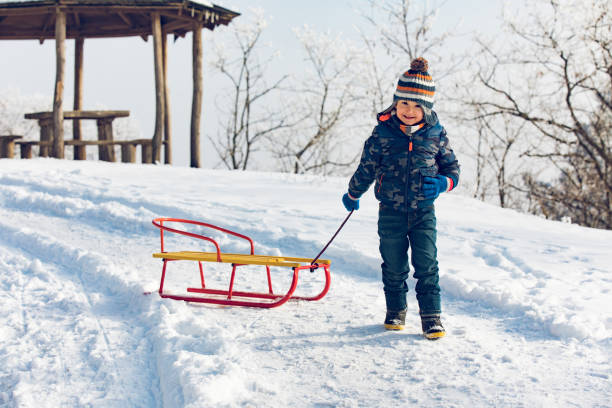 istock Little boy having fun with sledge on winter day 913487924
