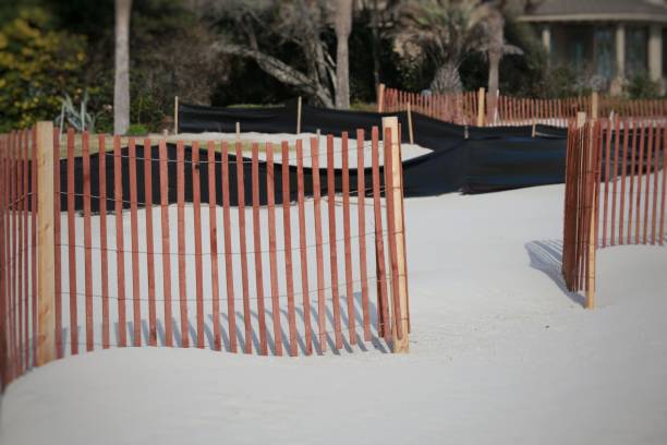 모래 해변 해안을 따라 펜싱 자라나 사우스 캐롤라이나 허리케인 피해를 보호 - cyclone fence 뉴스 사진 이미지