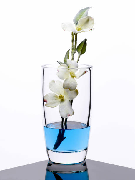 Beautiful pink flower in a transparent cup with water.
