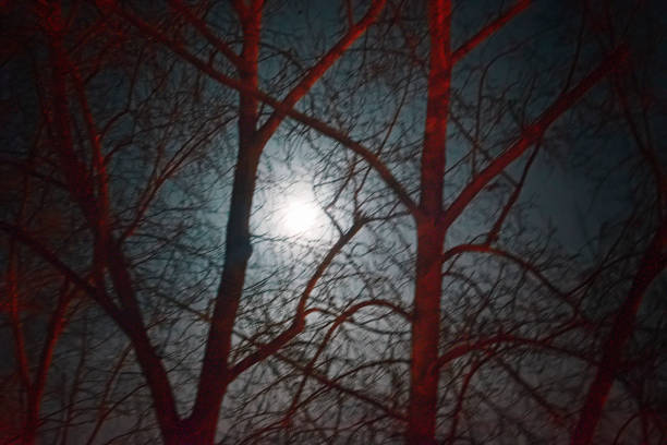 istock The moon in the night sky on a super moon 913493146