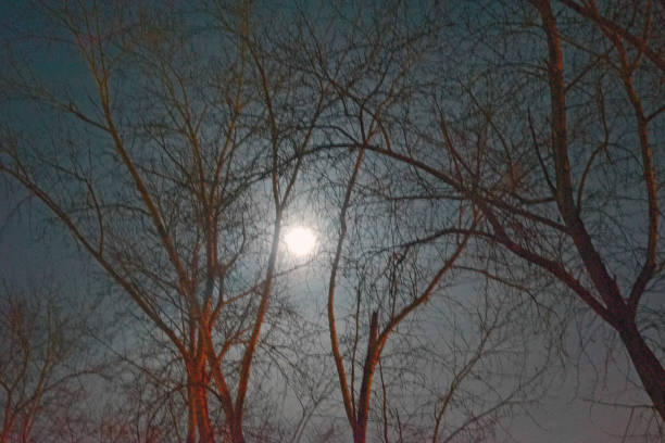 istock The moon in the night sky on a super moon 913493178