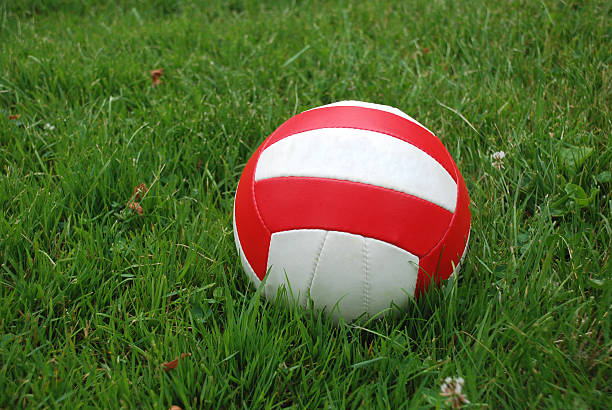 Two young diverse women playing volleyball outdoors in a backyard surrounded by lush greenery and mountains on a sunny day. One wears a pink romper, the other blue jeans with a yellow top, sharing laughter and fun.
