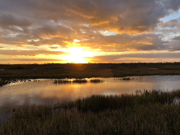 istock sunset in the swamps 913496650