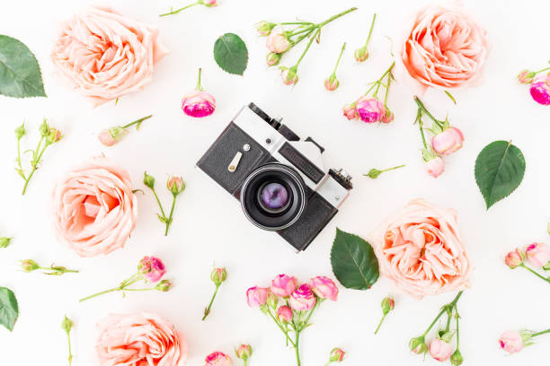 istock Round frame with pink roses and Old camera on white background. Flat lay, top view. Floral background. 913499112