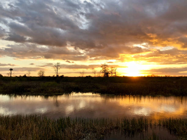 istock sunset in the swamps 913500082