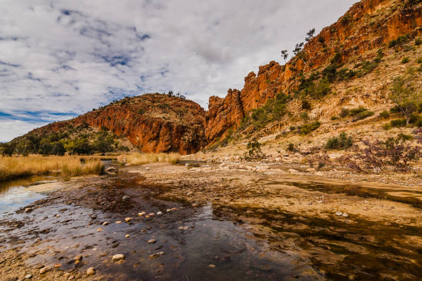 istock Glen Helen Gorge, Northern Territory, Australia 913500130