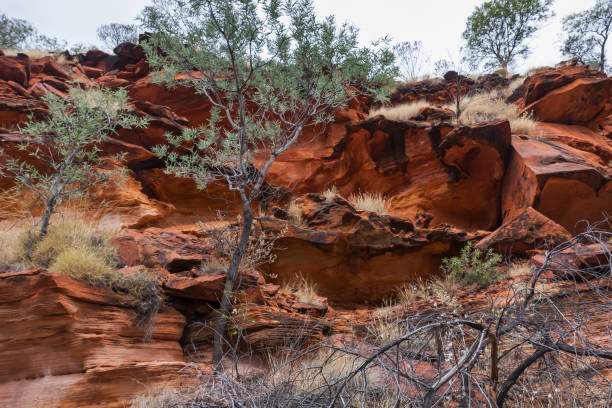 istock Sedimentary outcrops in Kings Canyon, Australia 913500160