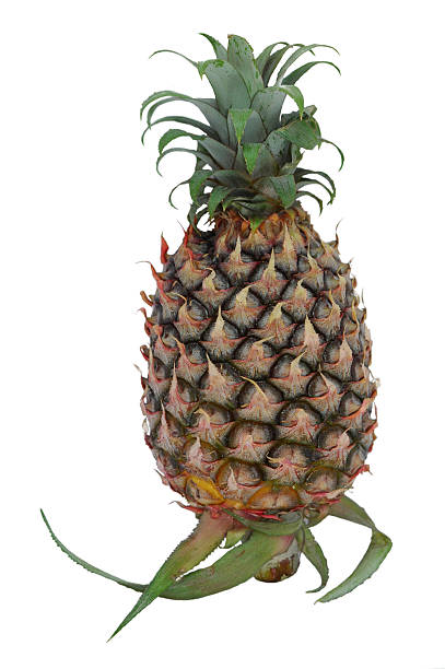 pineapple stock photo