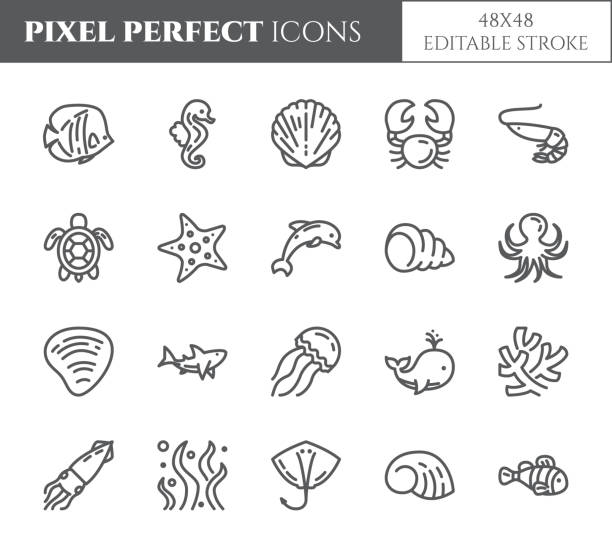 ilustraciones, imágenes clip art, dibujos animados e iconos de stock de iconos de línea delgada perfecta de pixel tema marino. 48 x 48 - red octopus