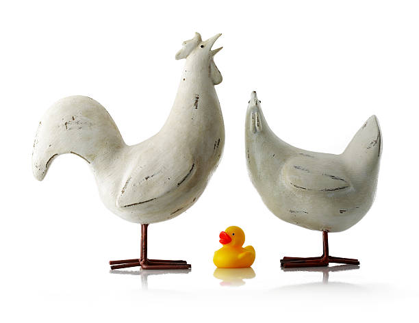 istock son of a duck! 91350670