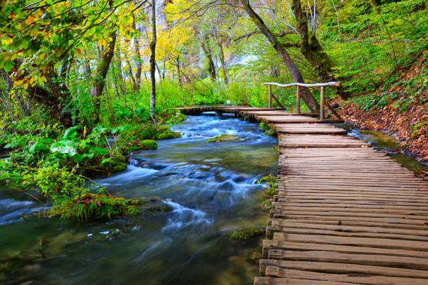 istock Boardwalk in the park Plitvice lakes 913507586