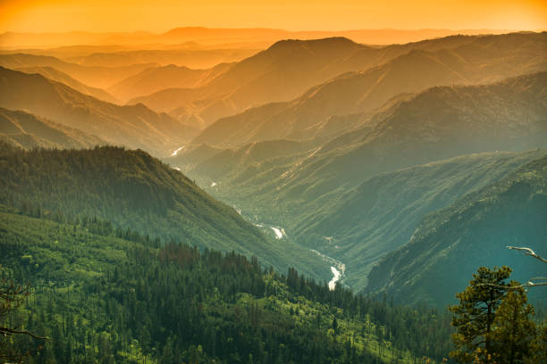 米国カリフォルニア州シエラネバダの山に霧が昇る - stanislaus national forest ストックフォトと画像