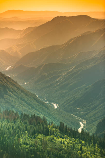 안개는 미국 캘리포니아 시에라 네바다 산맥에 상승 - stanislaus national forest 뉴스 사진 이미지