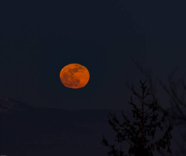 istock Full (red, blue) moon over Sofia city, Bulgaria, 31.01.2018 913507952